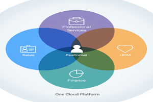 Salesforce Professional Services