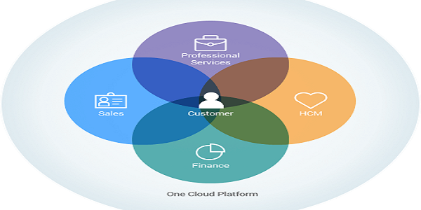 Salesforce Professional Services