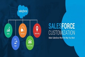 Salesforce Customization