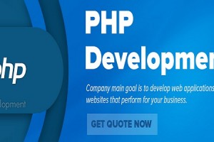 php development services