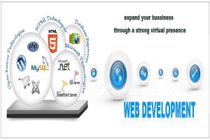 Web Development Company