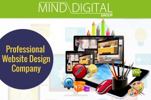 Professional-Website-Design-Company