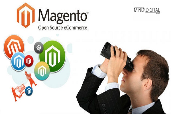 Magento Development