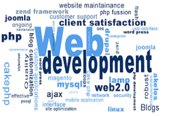 web development company in india