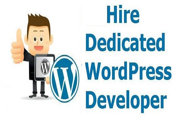 dedicated WordPress developer