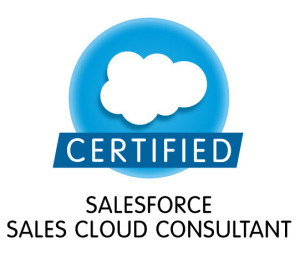 Trust a Top Consultant and Maximize Your ROI With Salesforce