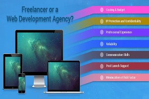 freelancer-or-a-web-development-agency
