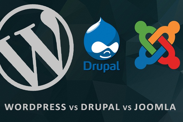 wordpress_drupal_joomla_web_design