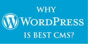 why-is-wordpress-the-best-cms-for-your-business