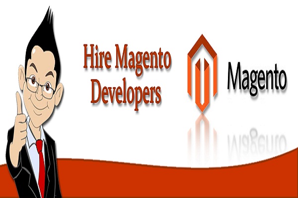 dedicated Magento developer