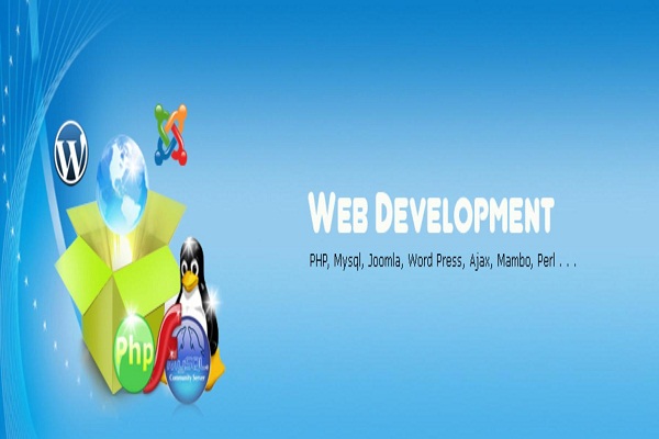 Web development India