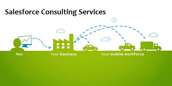 Salesforce Consulting Services