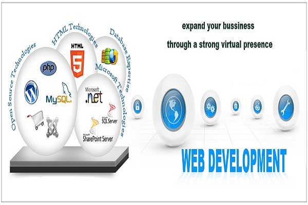 Web Development Company