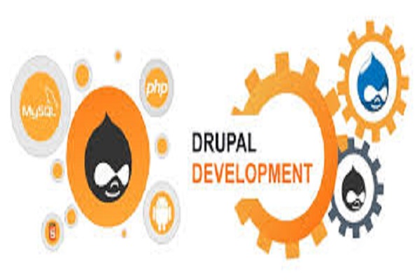 Drupal Development India