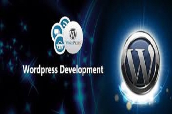 web development