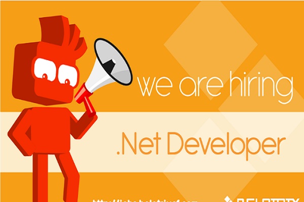 hire .net developers