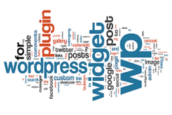 WordPress development services India