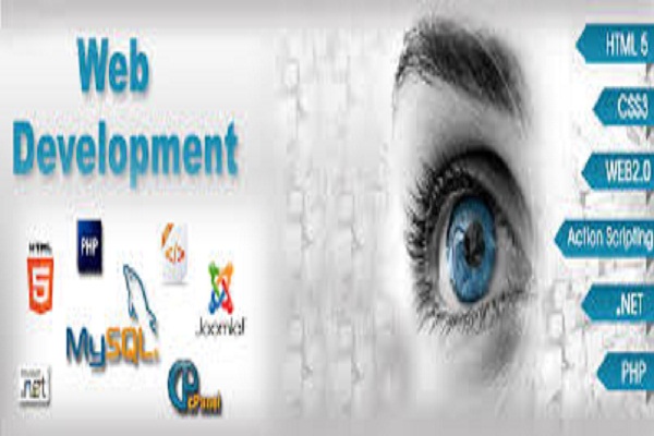 web Development Company